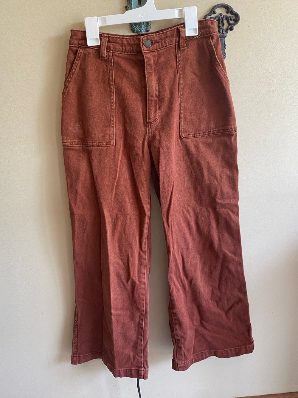 Universal Thread Wide-Leg Cargo Pants in Rust